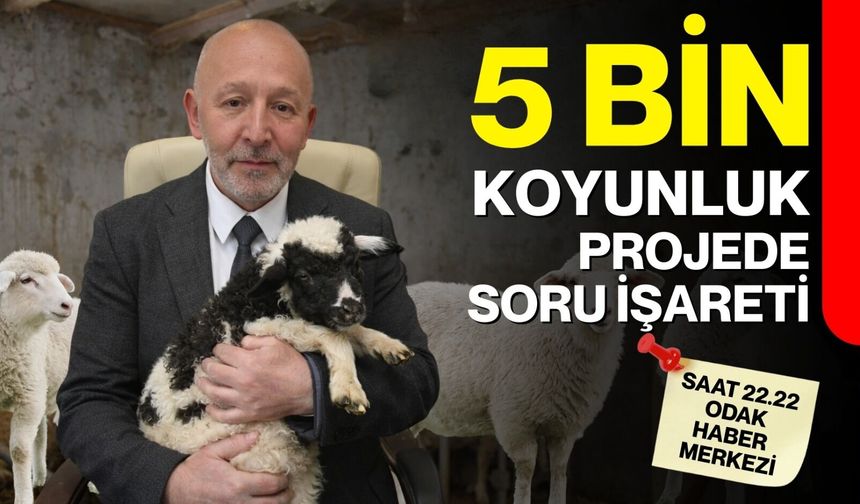 5 bin koyunluk projede soru işareti