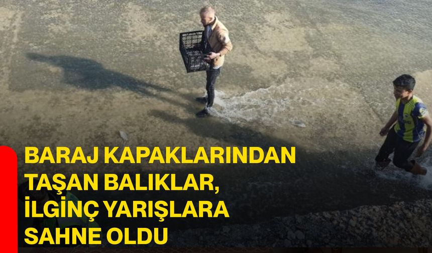 Baraj Kapaklarından Taşan Balıklar, İlginç Yarışlara Sahne Oldu