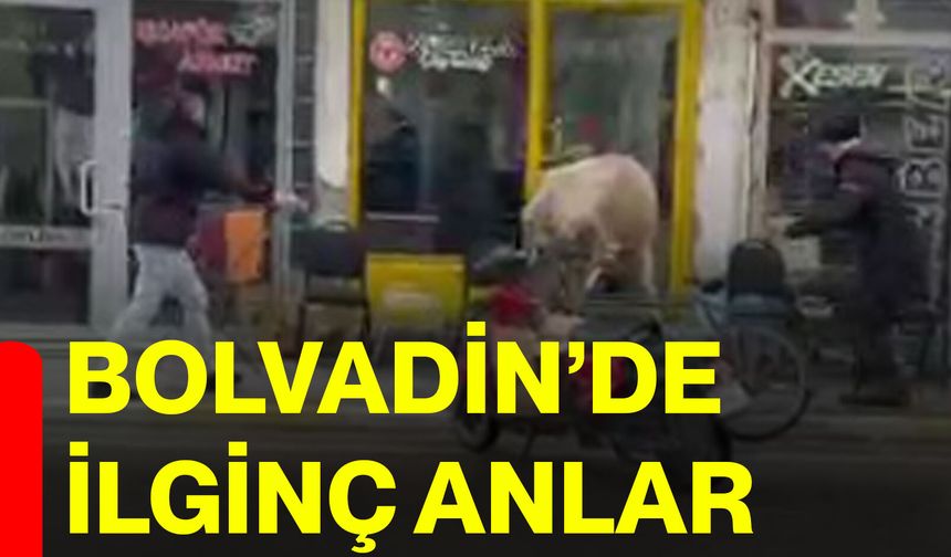 Bolvadin’de ilginç anlar