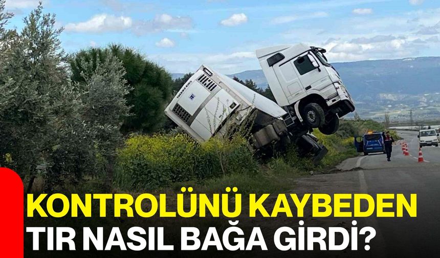 Kontrolünü Kaybeden Tır Nasıl Bağ Bahçesine Girdi?