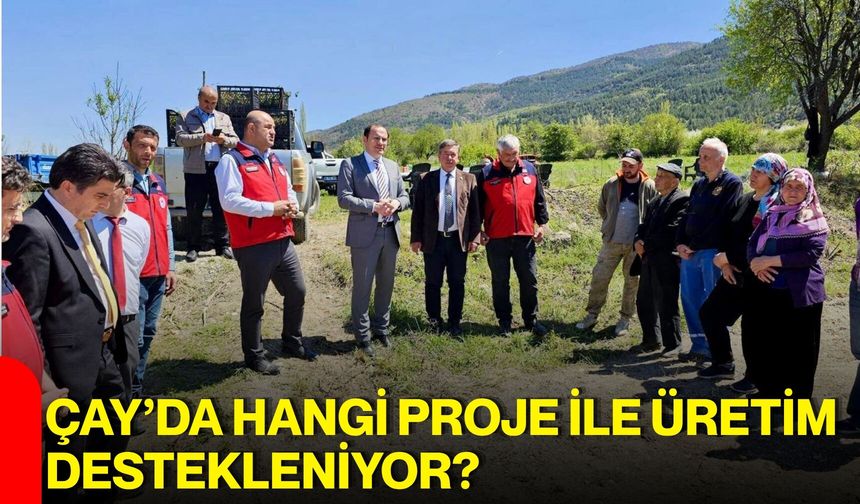 Çay’da hangi proje ile üretim destekleniyor?