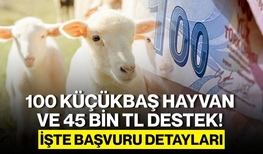 100 Küçükbaş Hayvan ve 45 Bin TL Destek! İşte Başvuru Detayları