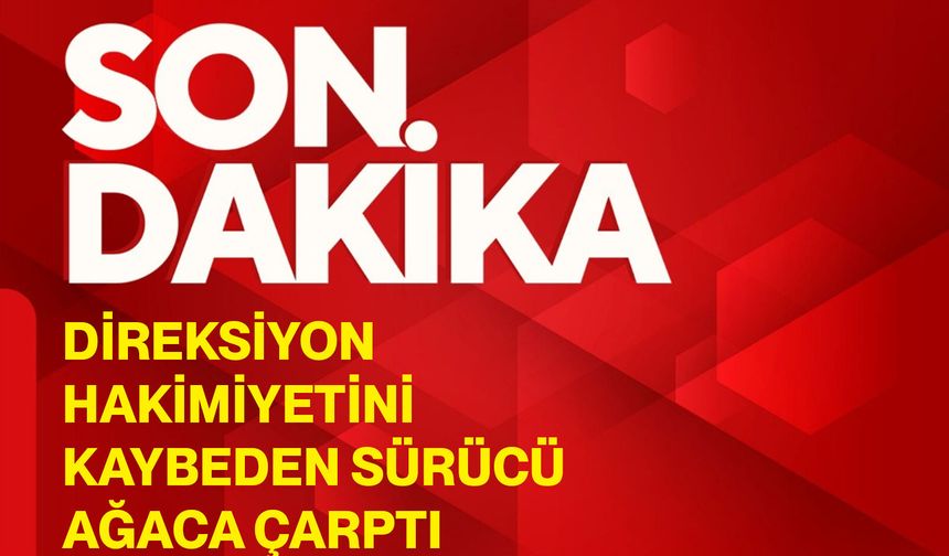 Direksiyon hakimiyetini kaybeden sürücü ağaca çarptı