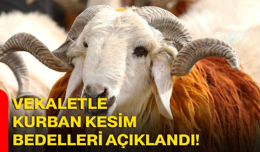 Vekaletle Kurban Kesim Bedelleri Açıklandı!