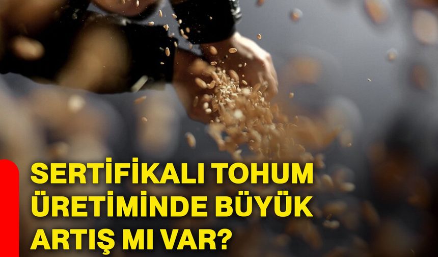 Sertifikalı tohum üretiminde büyük artış mı var?