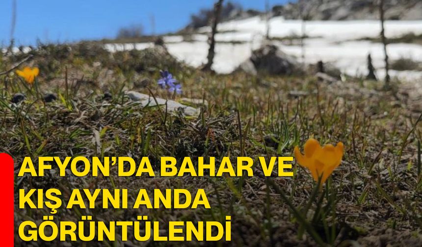 Afyon’da Bahar ve Kış Aynı Anda Görüntülendi
