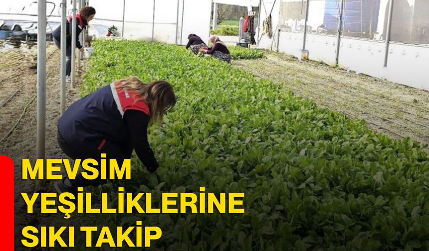 Mevsim yeşilliklerine sıkı takip