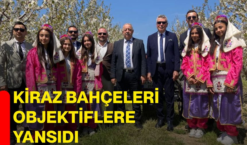 Kiraz bahçeleri objektiflere yansıdı