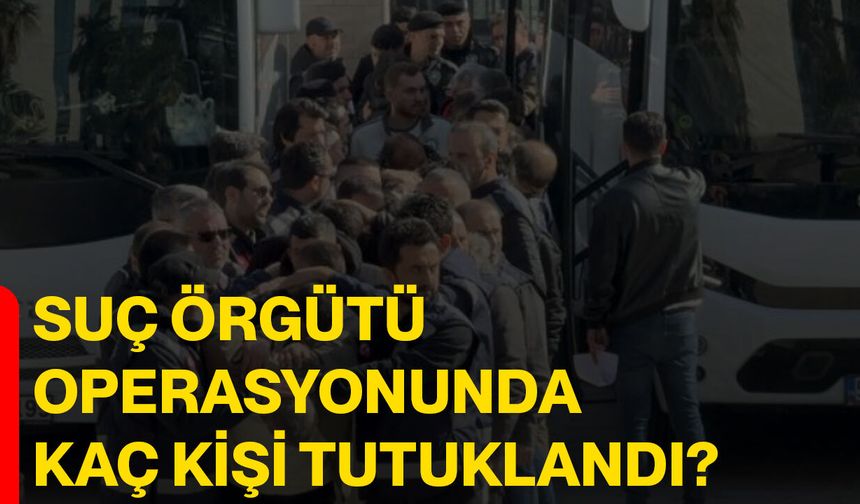 Suç örgütü operasyonunda kaç kişi tutuklandı?