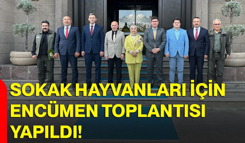 Sokak Hayvanları İçin Encümen Toplantısı Yapıldı