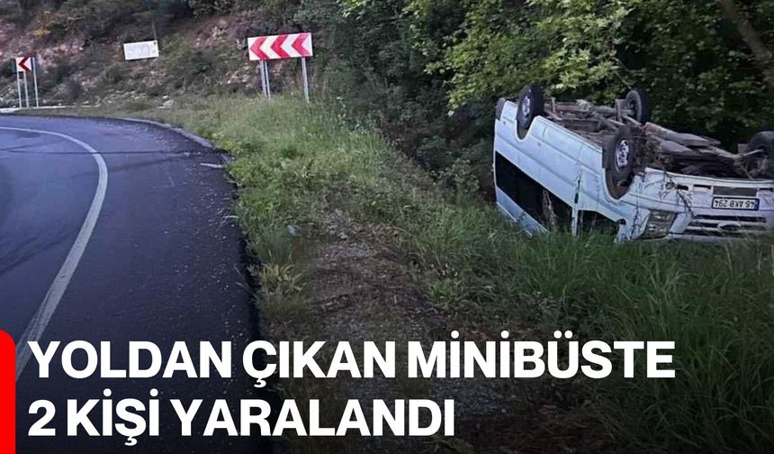 Yoldan Çıkan Minibüste 2 Kişi Yaralandı