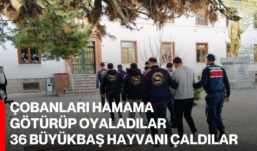 Çobanları hamama götürüp oyaladılar, 36 büyükbaş hayvanı çaldılar