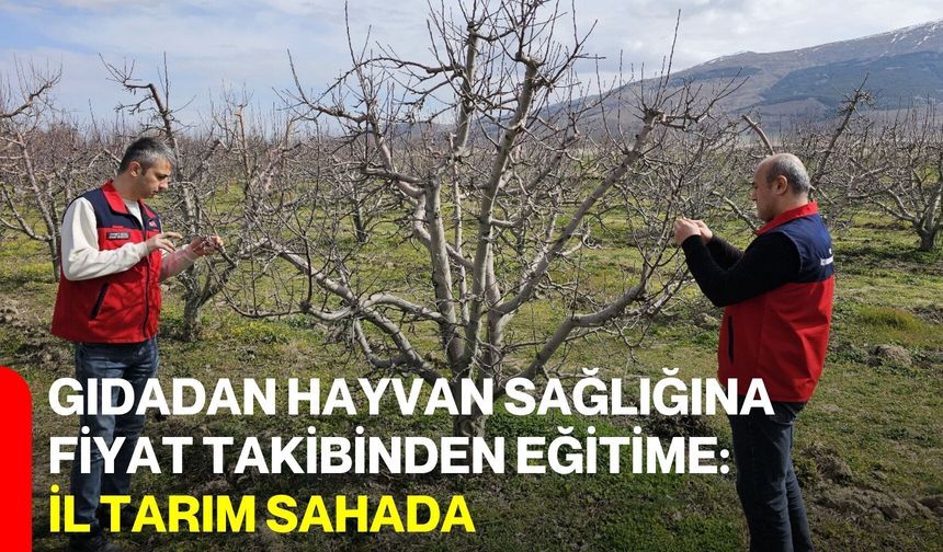 Gıdadan Hayvan Sağlığına, Fiyat Takibinden Eğitime: İl Tarım Sahada