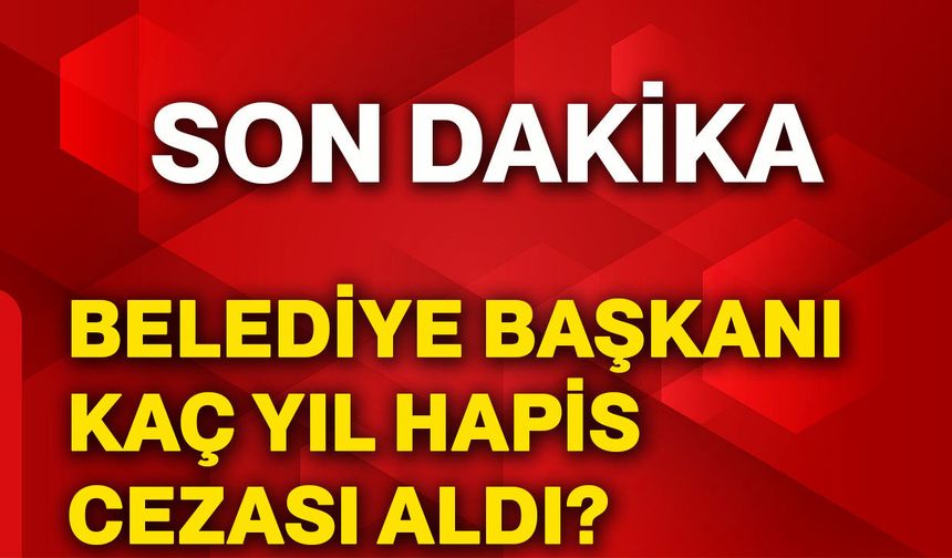 Belediye başkanı kaç yıl hapis cezası aldı?