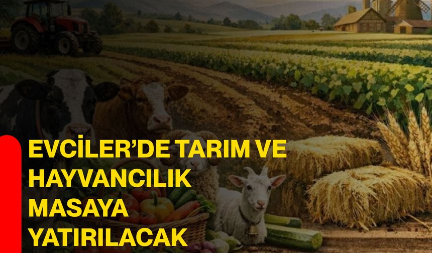 Evciler’de Tarım ve Hayvancılık Masaya Yatırılacak