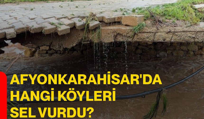 Afyonkarahisar'da hangi köyleri sel vurdu?