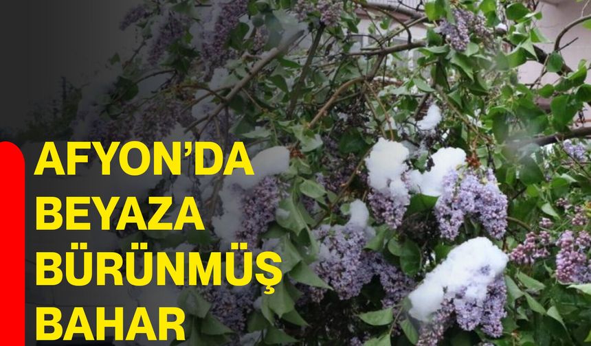 Afyon’da beyaza bürünmüş bahar