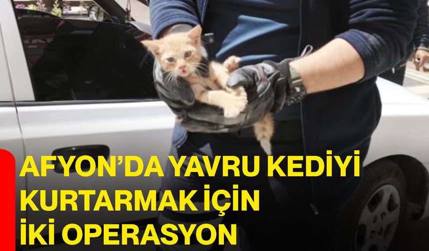 Afyon’da Yavru kediyi kurtarmak için iki operasyon