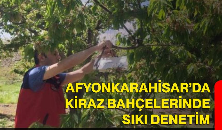 Afyonkarahisar’da Kiraz Bahçelerinde Sıkı Denetim