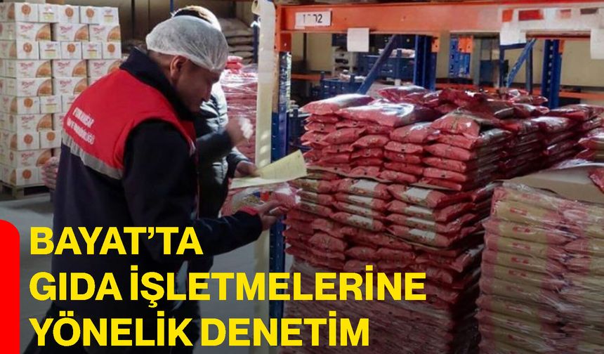 Bayat’ta gıda işletmelerine yönelik denetim