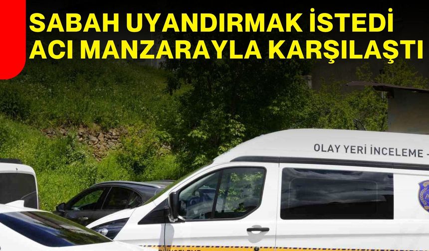 Sabah Uyandırmak İstedi, Acı Manzarayla Karşılaştı