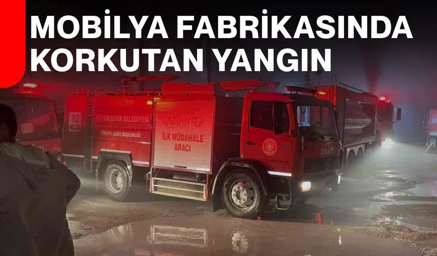 Mobilya Fabrikasında Korkutan Yangın