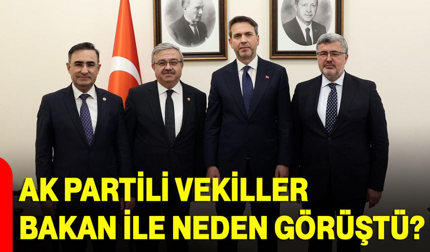 Ak Partili Vekiller Bakan İle Neden Görüştü?