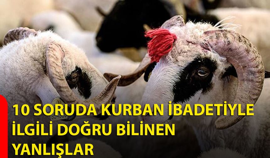 10 soruda kurban ibadetiyle ilgili doğru bilinen yanlışlar