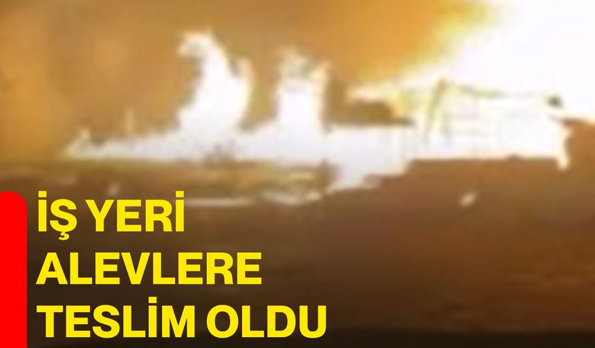 İş yeri alevlere teslim oldu