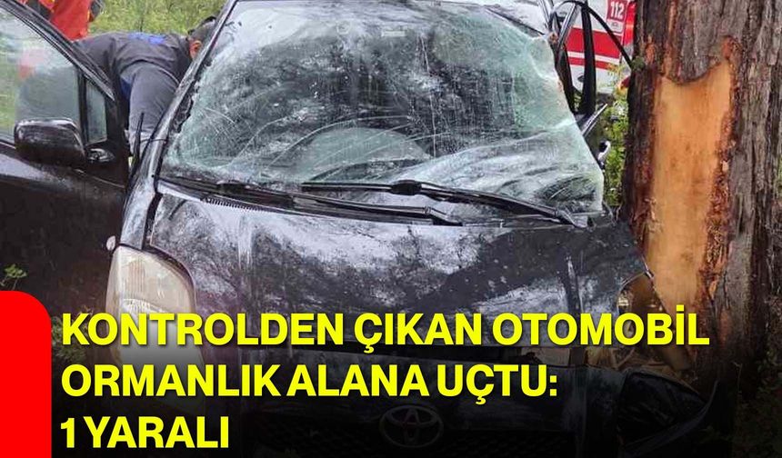 Kontrolden Çıkan Otomobil Ormanlık Alana Uçtu: 1 Yaralı