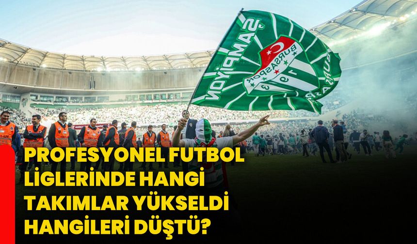 Profesyonel futbol liglerinde hangi takımlar yükseldi, hangileri düştü?