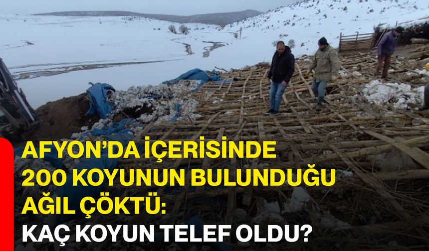 Afyon’da içerisinde 200 koyunun bulunduğu ağıl çöktü: Kaç koyun telef oldu?