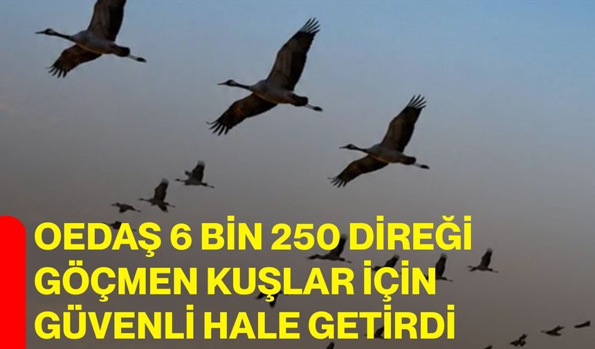 OEDAŞ 6 bin 250 direği göçmen kuşlar için güvenli hale getirdi