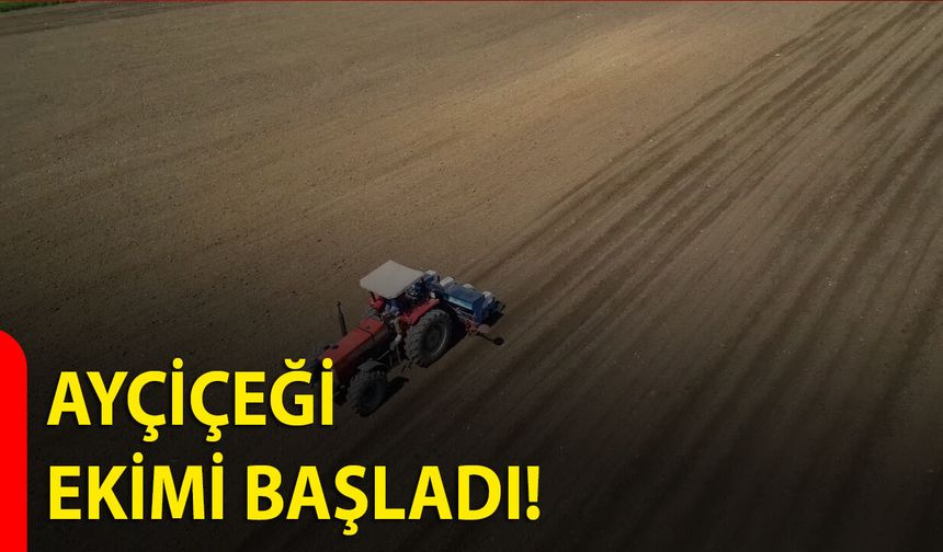 Ayçiçeği Ekimi Başladı!