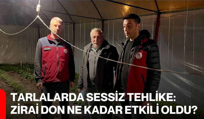Tarlalarda Sessiz Tehlike: Zirai Don Ne Kadar Etkili Oldu?