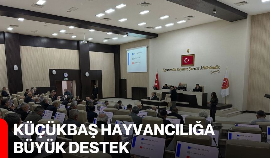 Küçükbaş Hayvancılığa Büyük Destek