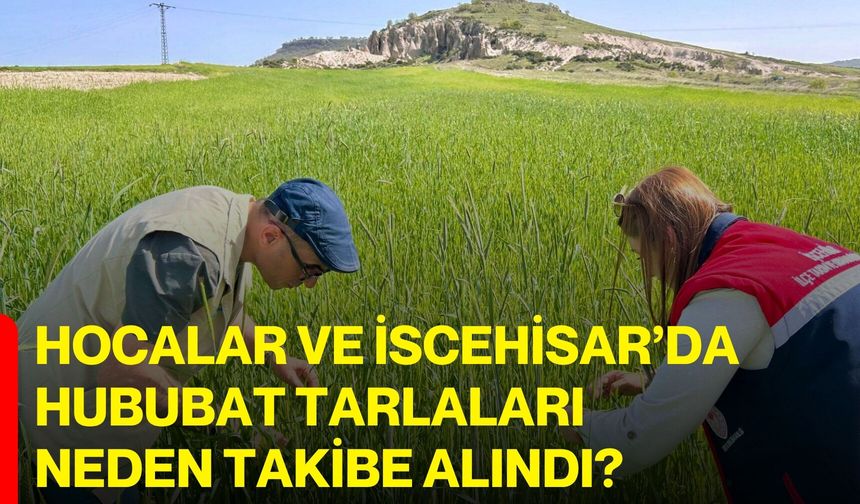 Hocalar ve İscehisar’da Hububat Tarlaları Neden Takibe Alındı?