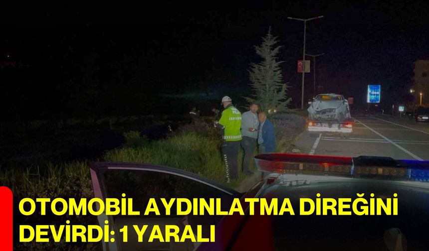 Otomobil aydınlatma direğini devirdi: 1 yaralı