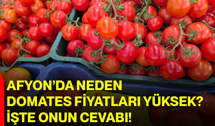 Afyon’da Neden Domates Fiyatları Yüksek? İşte Onun Cevabı!
