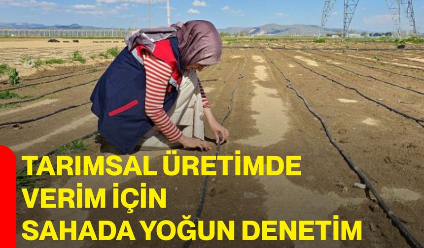 Tarımsal üretimde verim için sahada yoğun denetim