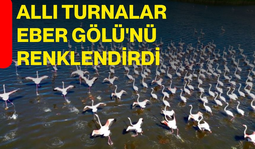 Allı Turnalar Eber Gölü'nü Renklendirdi
