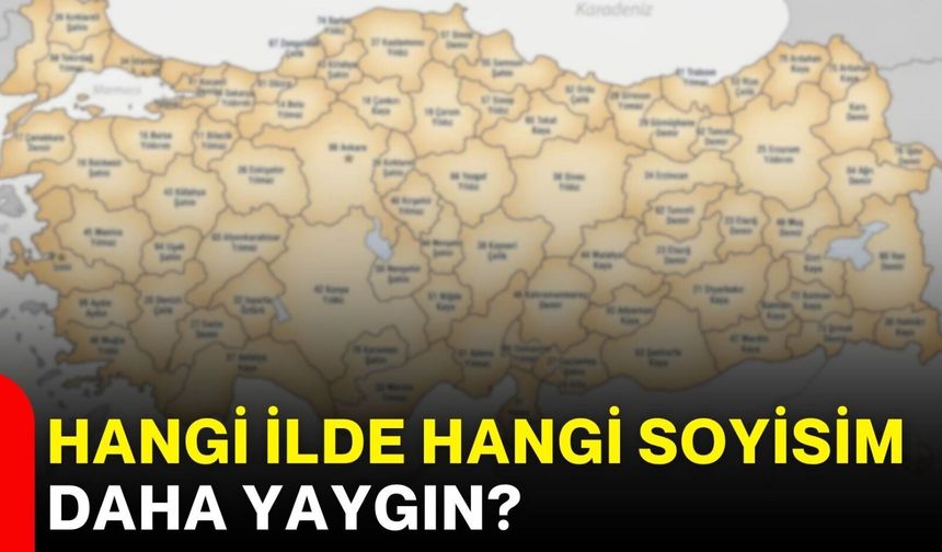 Hangi ilde hangi soyisim daha yaygın?