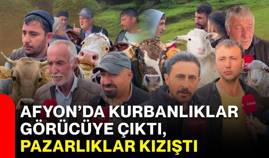 Afyon’da kurbanlıklar görücüye çıktı, pazarlıklar kızıştı