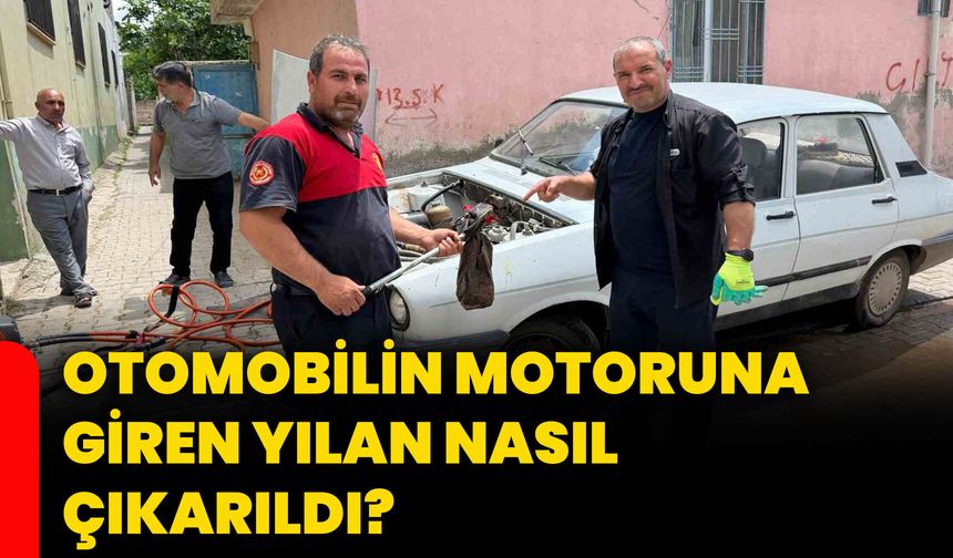 Otomobilin motoruna giren yılan nasıl çıkarıldı?