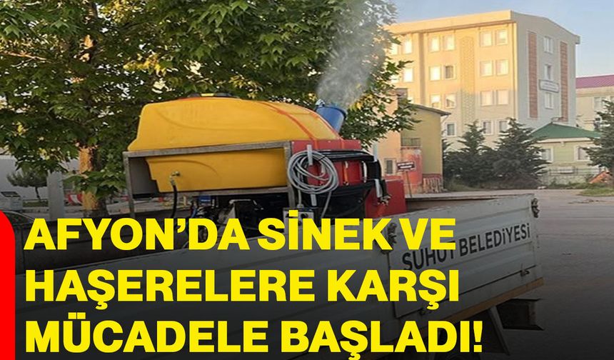Afyon’da sinek ve haşerelere karşı mücadele başladı