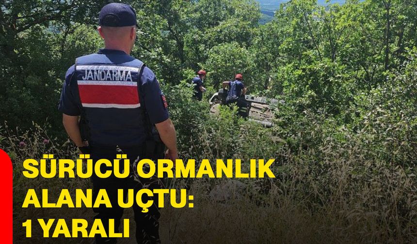 Sürücü ormanlık alana uçtu: 1 yaralı