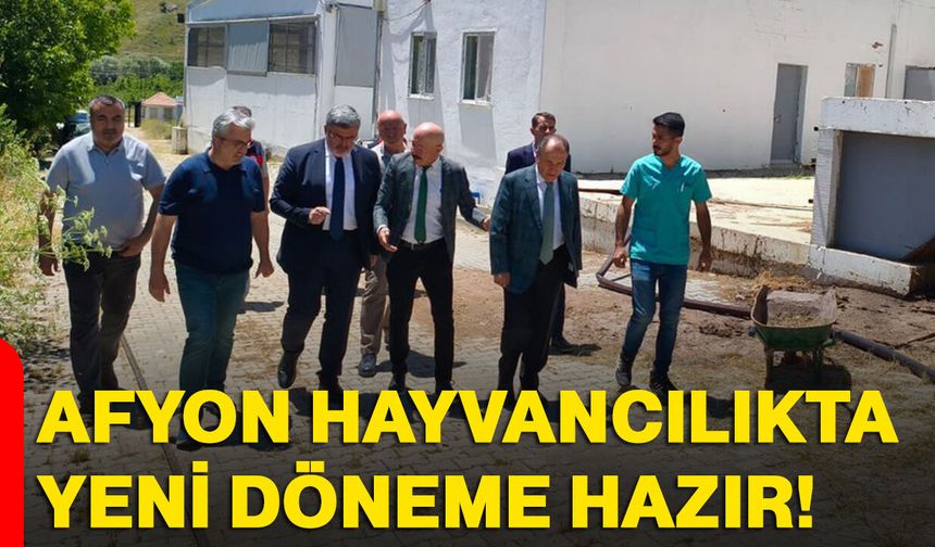 Afyon hayvancılıkta yeni döneme hazır
