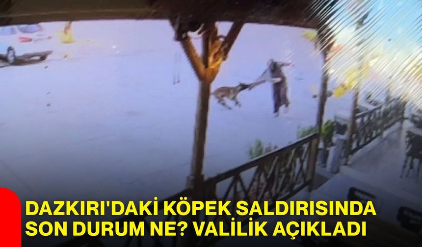 Dazkırı'daki köpek saldırısında son durum ne? Valilik açıkladı