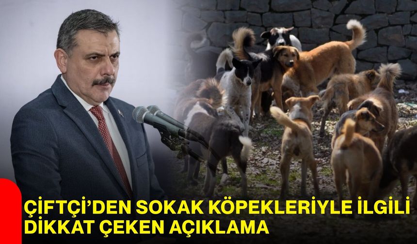 Çiftçi’den sokak köpekleriyle ilgili dikkat çeken açıklama