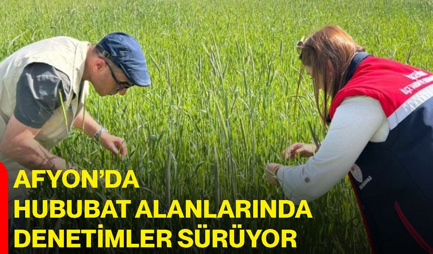 Afyon’da hububat alanlarında denetimler sürüyor